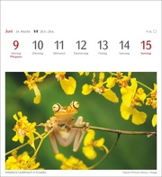 Farben der Natur Postkartenkalender 2025 - Wochenkalender mit 53 Postkarten - Abbildung 5