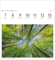 Farben der Natur Postkartenkalender 2025 - Wochenkalender mit 53 Postkarten - Abbildung 9