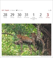 Farben der Natur Postkartenkalender 2025 - Wochenkalender mit 53 Postkarten - Abbildung 12