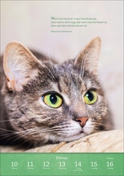 Literaturkalender Katzen Wochen-Kulturkalender 2025 - Abbildung 7