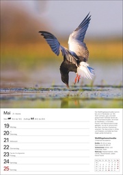 Heimische Vögel Wochenplaner 2025 - 53 Blatt mit Wochenchronik - Abbildung 1