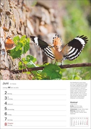 Heimische Vögel Wochenplaner 2025 - 53 Blatt mit Wochenchronik - Abbildung 4