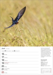 Heimische Vögel Wochenplaner 2025 - 53 Blatt mit Wochenchronik - Abbildung 6
