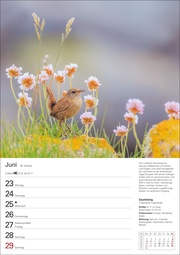 Heimische Vögel Wochenplaner 2025 - 53 Blatt mit Wochenchronik - Abbildung 7