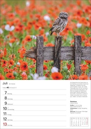 Heimische Vögel Wochenplaner 2025 - 53 Blatt mit Wochenchronik - Abbildung 9