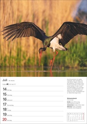 Heimische Vögel Wochenplaner 2025 - 53 Blatt mit Wochenchronik - Abbildung 10