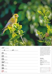 Heimische Vögel Wochenplaner 2025 - Abbildung 11
