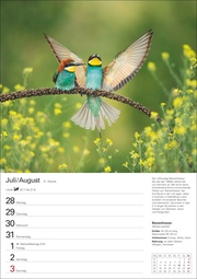 Heimische Vögel Wochenplaner 2025 - 53 Blatt mit Wochenchronik - Abbildung 12