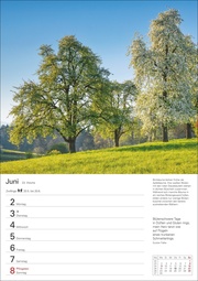 Bäume Wochenplaner 2025 - Abbildung 4