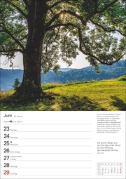 Bäume Wochenplaner 2025 - Abbildung 7
