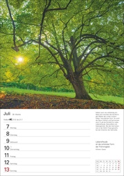 Bäume Wochenplaner 2025 - Abbildung 9