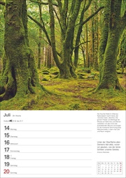 Bäume Wochenplaner 2025 - Abbildung 10