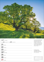 Bäume Wochenplaner 2025 - Abbildung 11