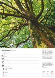 Bäume Wochenplaner 2025 - Abbildung 12