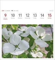 Blumenpracht Postkartenkalender 2025 - Abbildung 5