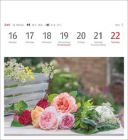 Blumenpracht Postkartenkalender 2025 - Abbildung 6