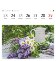 Blumenpracht Postkartenkalender 2025 - Abbildung 7