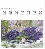 Blumenpracht Postkartenkalender 2025 - Abbildung 10