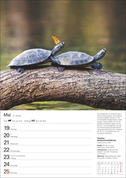 Unsere Tierwelt Wochenplaner 2025 - 53 Blatt mit Wochenchronik - Abbildung 1