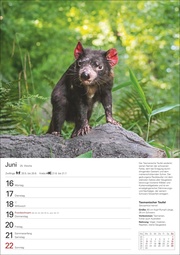 Unsere Tierwelt Wochenplaner 2025 - 53 Blatt mit Wochenchronik - Abbildung 6