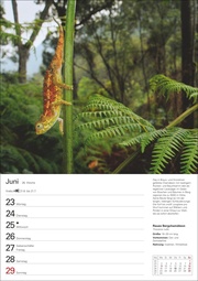 Unsere Tierwelt Wochenplaner 2025 - 53 Blatt mit Wochenchronik - Abbildung 7