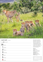 Unsere Tierwelt Wochenplaner 2025 - 53 Blatt mit Wochenchronik - Abbildung 8