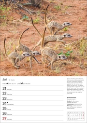 Unsere Tierwelt Wochenplaner 2025 - Illustrationen 11