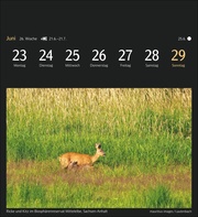Deutschlands Natur Postkartenkalender 2025 - Abbildung 7