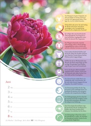 Horoskope Wochenkalender 2025 - Abbildung 3