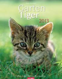 Garten Tiger 2013