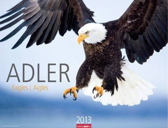 Adler 2013