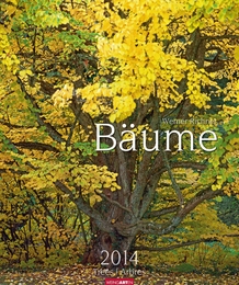 Bäume 2014 - Cover