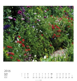 Monets Garten 2016 - Abbildung 4