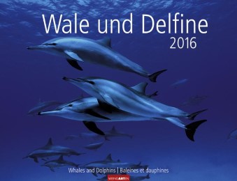 Wale und Delfine 2016