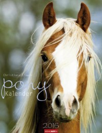 Ponykalender 2016
