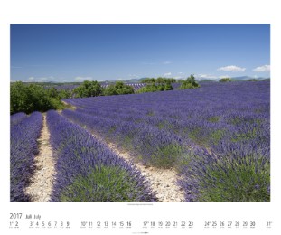 Ein Jahr in der Provence 2017 - Abbildung 7