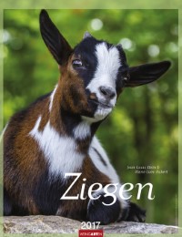 Ziegen 2017 - Cover