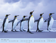 Pinguine auf Reise 2018 - Abbildung 1