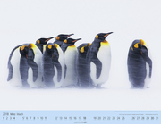 Pinguine auf Reise 2018 - Abbildung 2