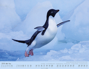Pinguine auf Reise 2018 - Abbildung 4