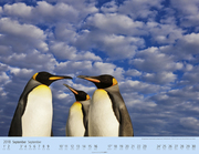 Pinguine auf Reise 2018 - Abbildung 6
