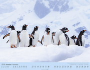 Pinguine auf Reise 2018 - Abbildung 10