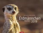 Erdmännchen - Kalender 2019