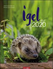 Igel 2020 - Cover