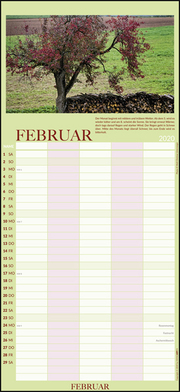 100jähriger Kalender Familienplaner 2020 - Abbildung 2