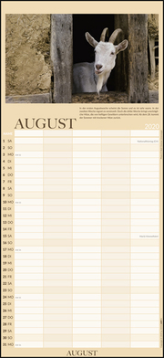 100jähriger Kalender Familienplaner 2020 - Abbildung 8