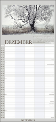 100jähriger Kalender Familienplaner 2020 - Abbildung 12