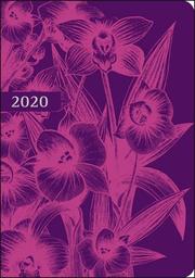 Kalenderbuch Orchidee 2020