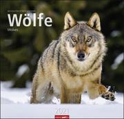 Wölfe, Wolves 2021