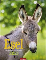Esel 2021 - Cover